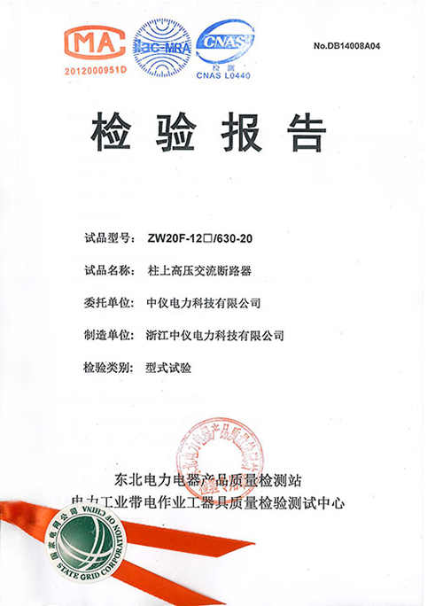 檢驗(yàn)報告